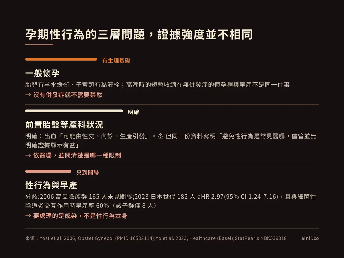對照圖:孕期性行為的三層問題與證據強度。一般懷孕=有生理基礎,胎兒有羊水緩衝、子宮頸有黏液栓,結論是沒有併發症就不需要禁慾。前置胎盤等產科狀況=明確,出血可能由性交、內診、生產引發,但同一份資料寫明避免性行為是常見醫囑、儘管並無明確證據顯示有益,結論是依醫囑並問清楚是哪一種限制。性行為與早產=只到關聯,2006 年高風險族群 165 人未見關聯、2023 年日本世代 182 人校正風險比 2.97,與細菌性陰道炎交互作用時早產率 60%(該子群僅 8 人),結論是要處理的是感染不是性行為本身。